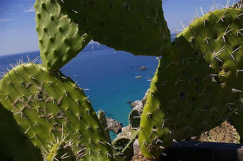 Hotel Tropis  | Reggio di Calabria | Reggio Calabria | Italia 8