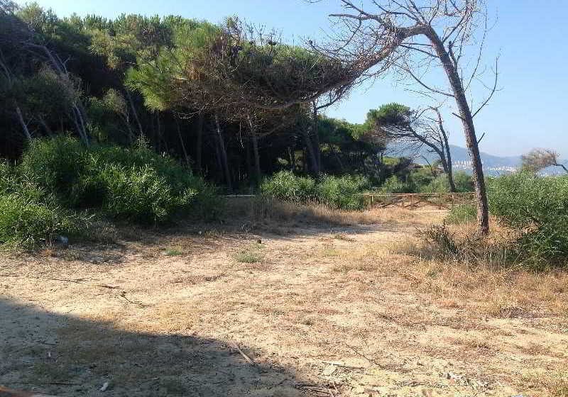 Hotel Residenza L Antico Borgo  | Reggio di Calabria | Reggio Calabria | Italia 10