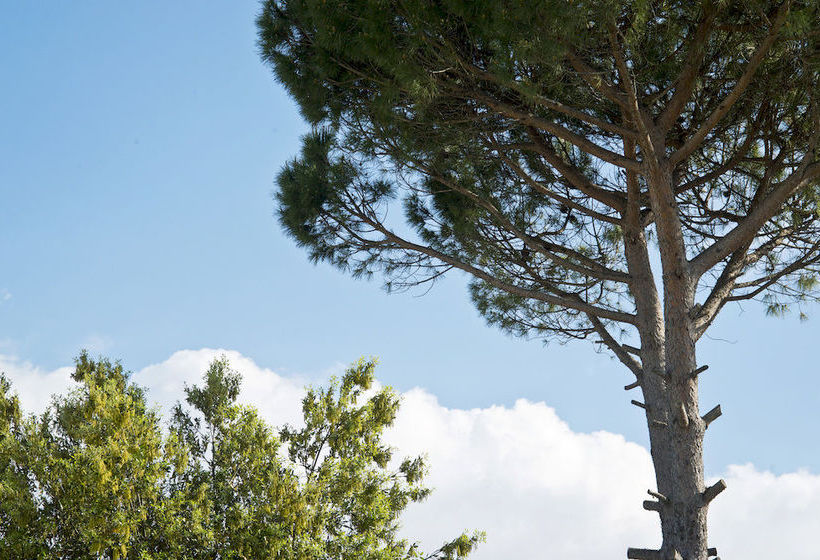 Park Hotel La Grave  | Bari | Bari | Italia 12