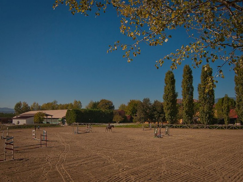 Hotel Podere Violino  | Arezzo | Arezzo | Italia 10