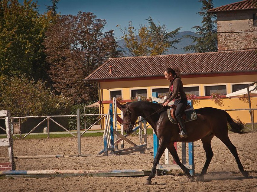 Hotel Podere Violino  | Arezzo | Arezzo | Italia 3