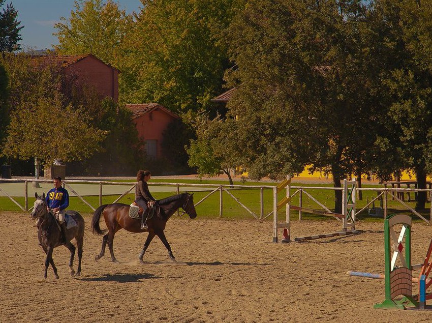 Hotel Podere Violino  | Arezzo | Arezzo | Italia 4