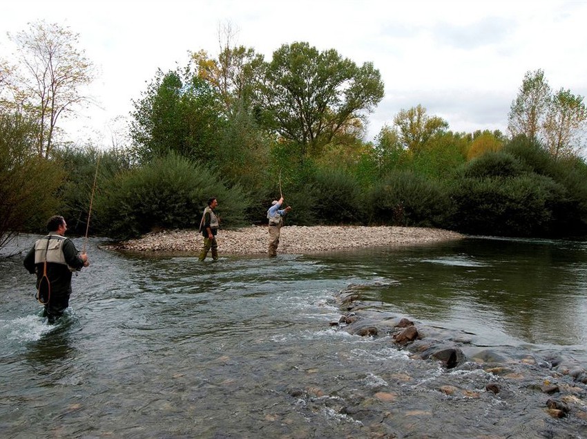 Hotel Podere Violino  | Arezzo | Arezzo | Italia 5