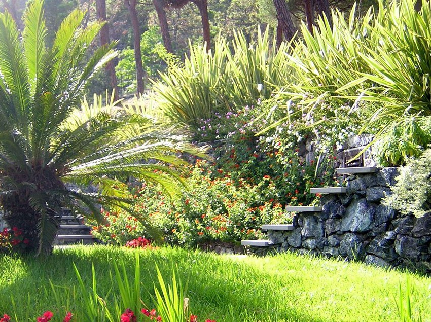 Park Hotel Argento  | La Spezia | La Spezia | Italia 1