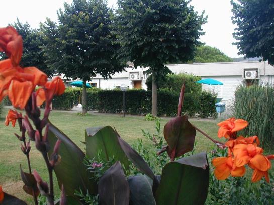 Aviotel Residence  | Island d'Elba | Livorno | Italy 14