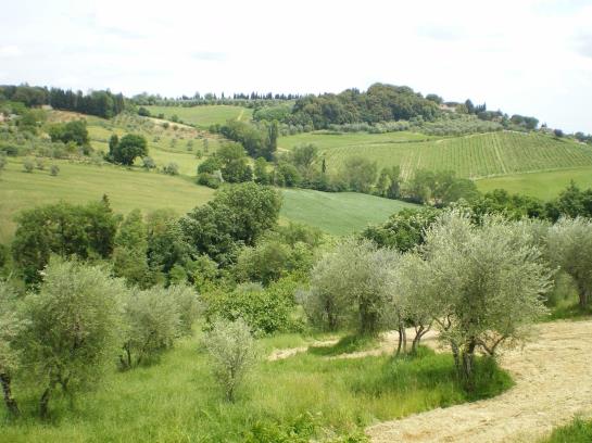 Hotel Fullino Nero Rta  | Siena | Siena | Italia 19
