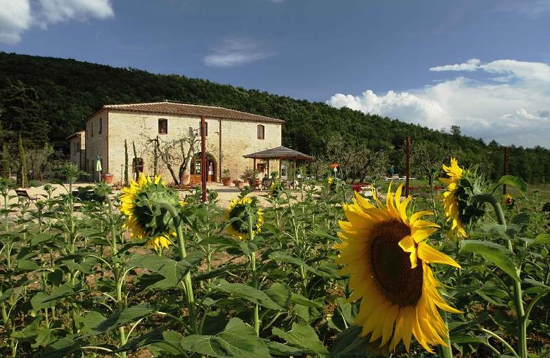 Bed and Breakfast Antico Casale  | Casole d'Elsa | Siena | Italia 10