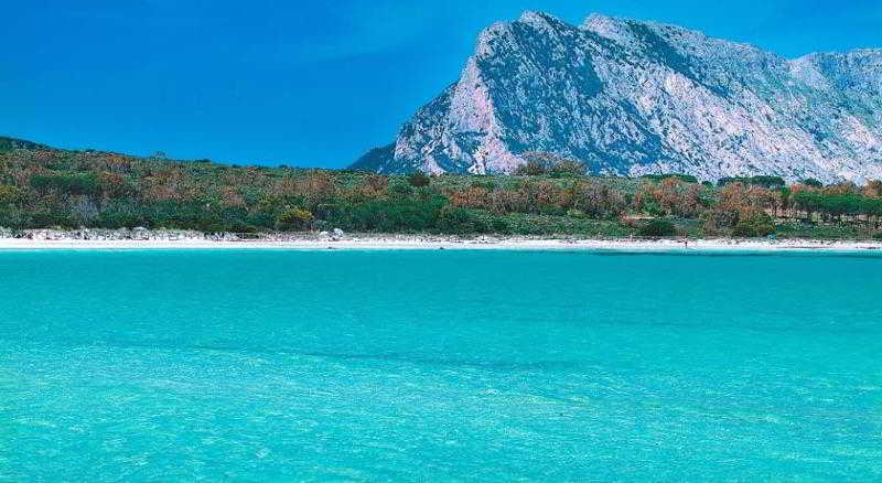 Residence Ambra  | San Teodoro | Sardegna | Italia 7