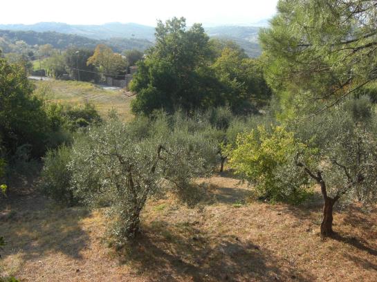 Bed & Breakfast Bed&Breakfast Il Poggetto  | Castellina Marittima | Pisa | Italien 14