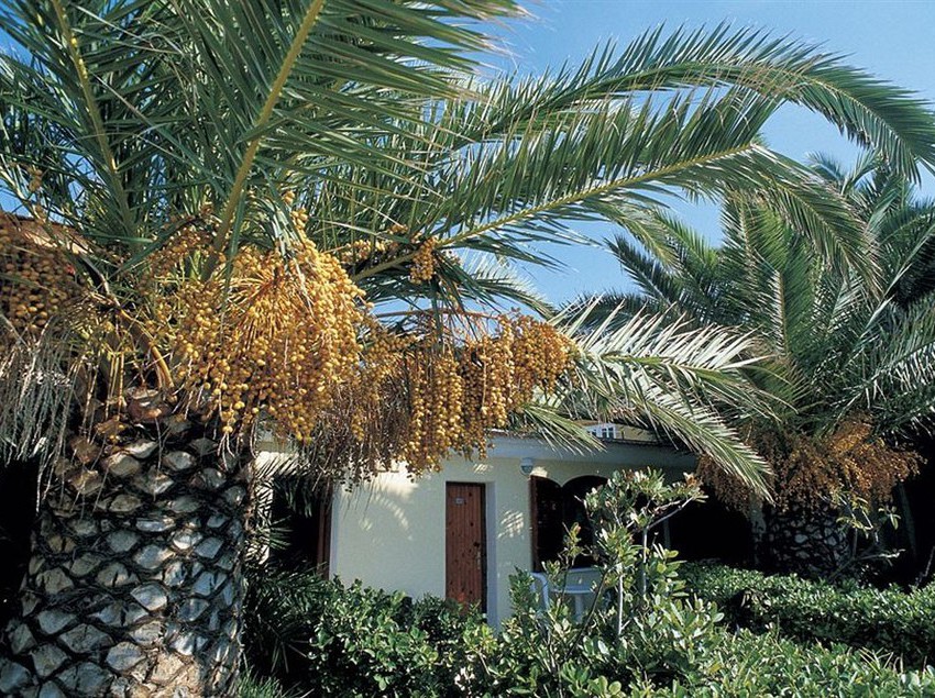 Hotel La Scogliera  | Forio d'Ischia | Napoli | Italia 1