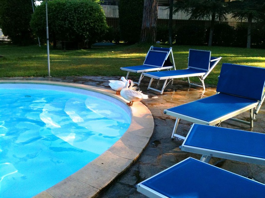 Hotel Relais La Canfora  | Trevignano Romano | Roma | Italia 12