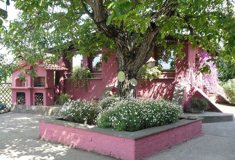 Bed and Breakfast Bed&Breakfast Il Baffetto  | Trevignano Romano | Roma | Italia 1