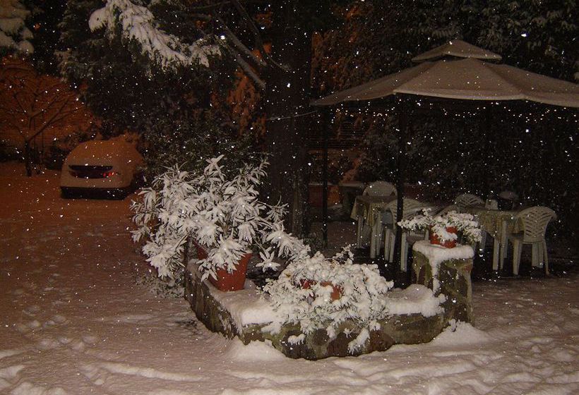 Bed and Breakfast Bed&Breakfast Casa Toselli  | Firenze | Florence | Italia 1