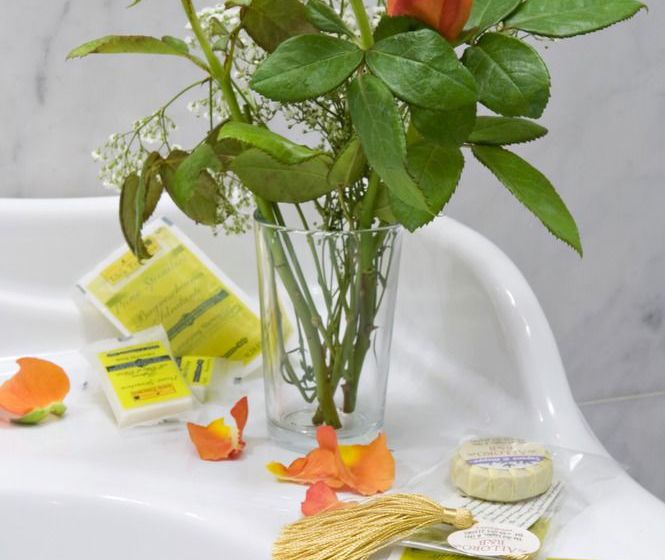 Pierolli NIHotels  | Insle d'Elba | Livorno | Italien 11