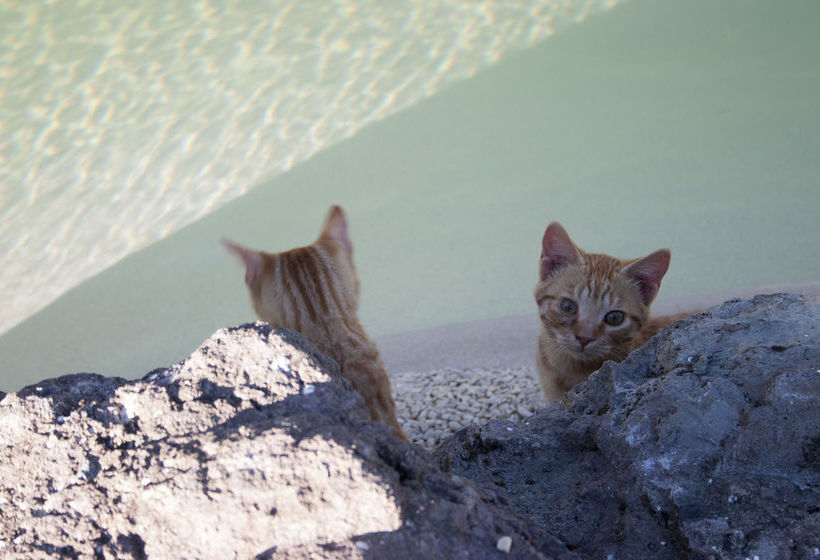 Hotel Biologico Sant'egle  | Sorano | Grosseto | Italia 17