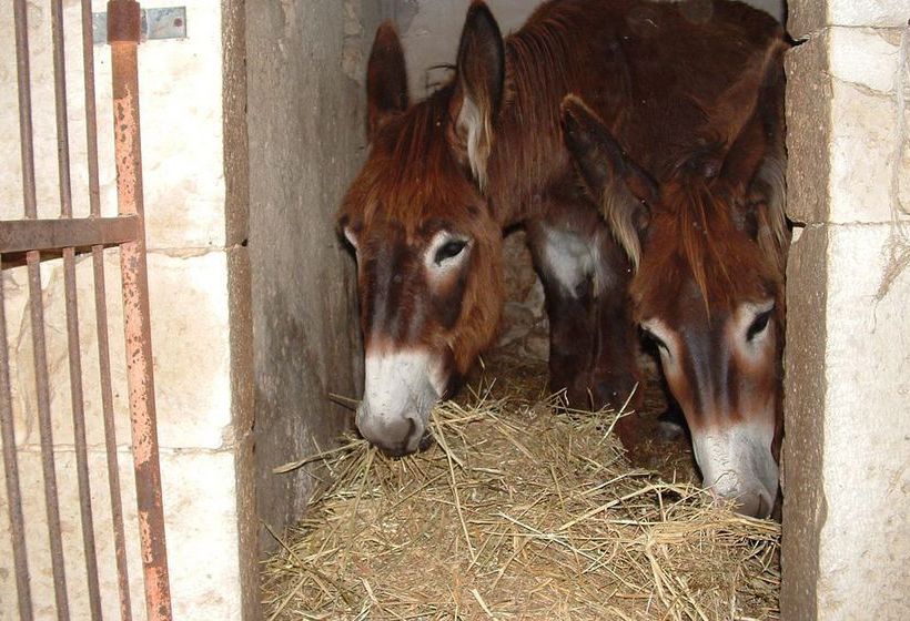Casato Licitra Ragusa