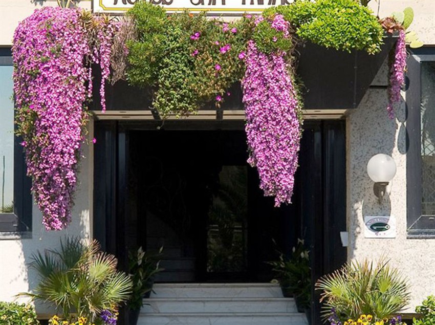 Hotel San Francisco  | Viareggio | Lucca | Italia 2