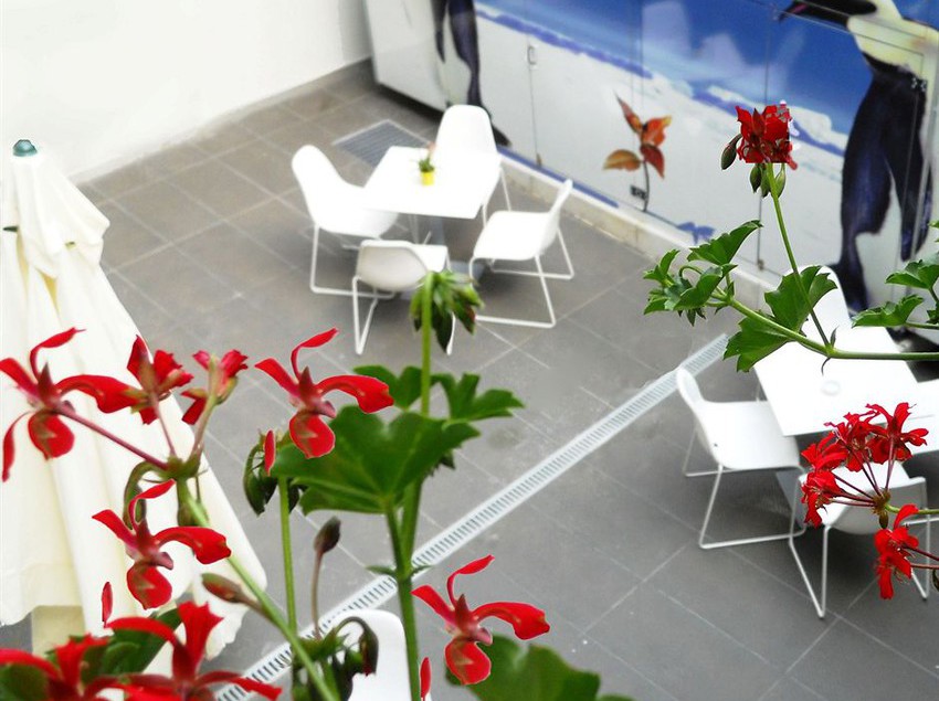 Hotel Avenue  | Como | Como | Italia 2