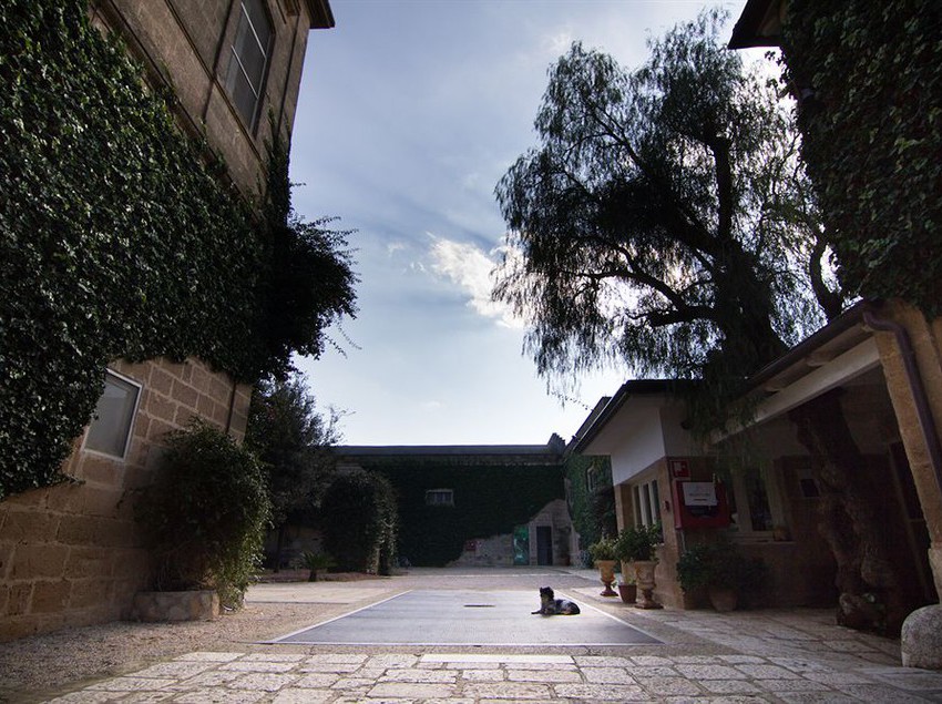 Masseria Baroni Nuovi  | Brindisi | Brindisi | Italia 13