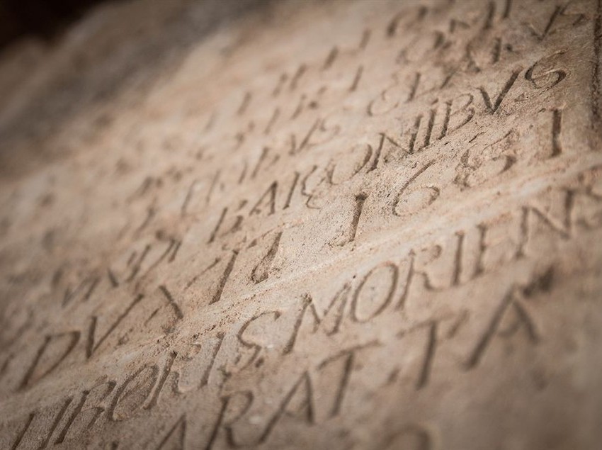 Masseria Baroni Nuovi  | Brindisi | Brindisi | Italia 19