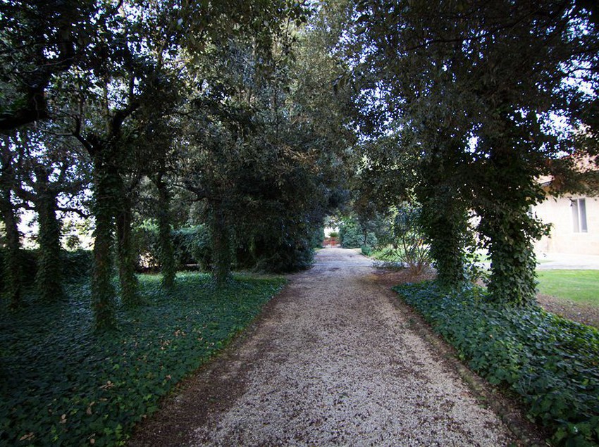 Masseria Baroni Nuovi  | Brindisi | Brindisi | Italia 4