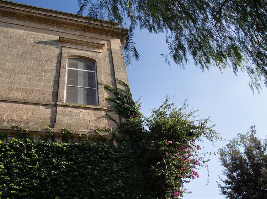 Masseria Baroni Nuovi  | Brindisi | Brindisi | Italia 6