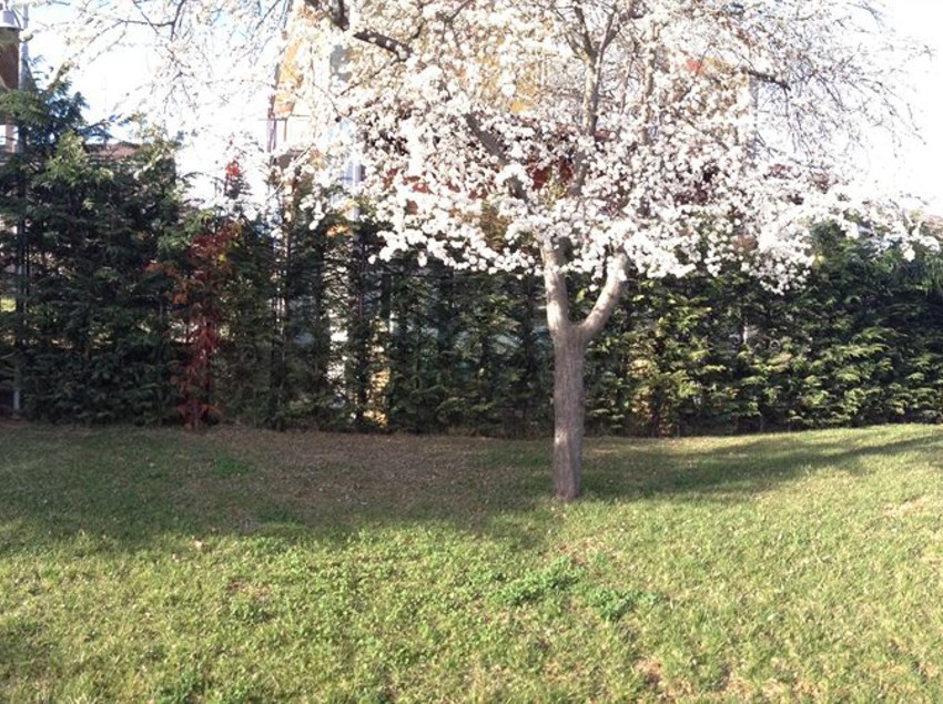 Hotel Villa Cinzia Cuneo