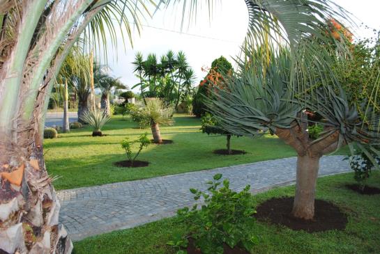 Hotel Damanse  | Capo Vaticano | Vibo Valentia | Italia 20