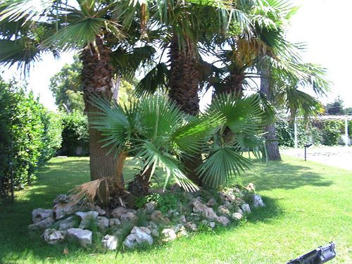 Hotel Exagon  | Trento | Trento | Italia 9