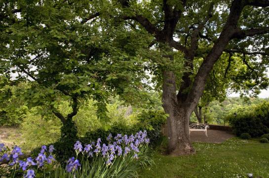Locanda Ilune  | Pitigliano | Grosseto | Italia 10