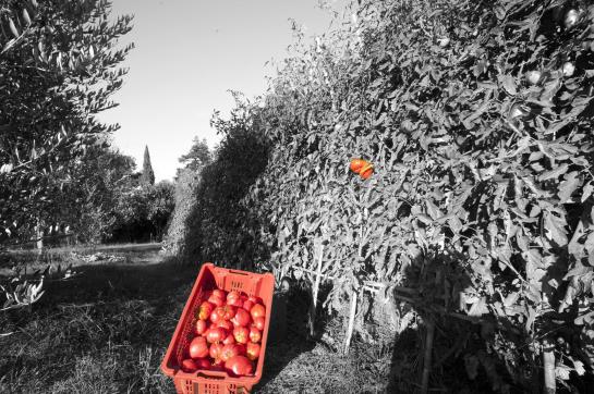 Locanda Ilune  | Pitigliano | Grosseto | Italia 6