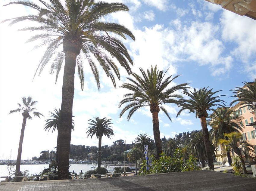 Hotel Miro'  | Rapallo | Genova | Italia 11