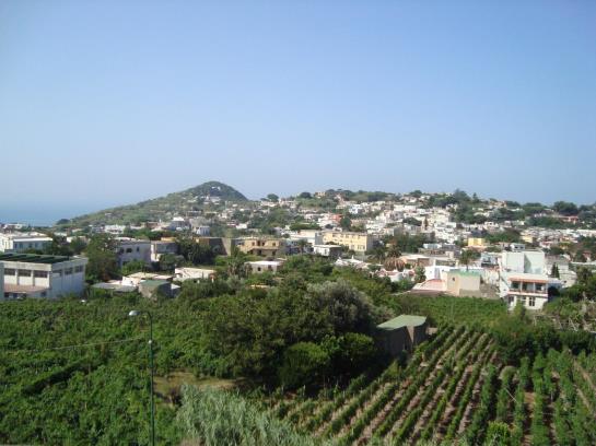 Hotel Villa La Cesa  | Forio d'Ischia | Napoli | Italia 4