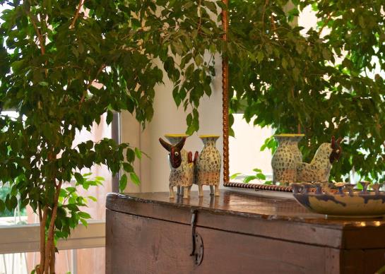 Hotel Villa Cheta Elite  | Maratea | Potenza | Italia 7