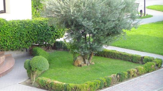 Hotel Da Vito  | Negrar | Verona | Italia 14