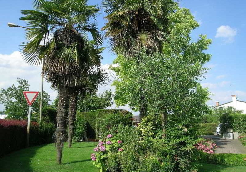 Hotel Da Vito  | Negrar | Verona | Italia 3