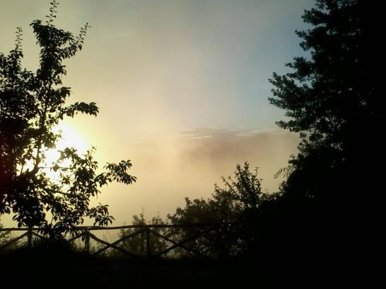 Guinzano  | Perugia | Perugia | Italia 11