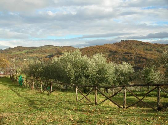 Guinzano  | Perugia | Perugia | Italia 6