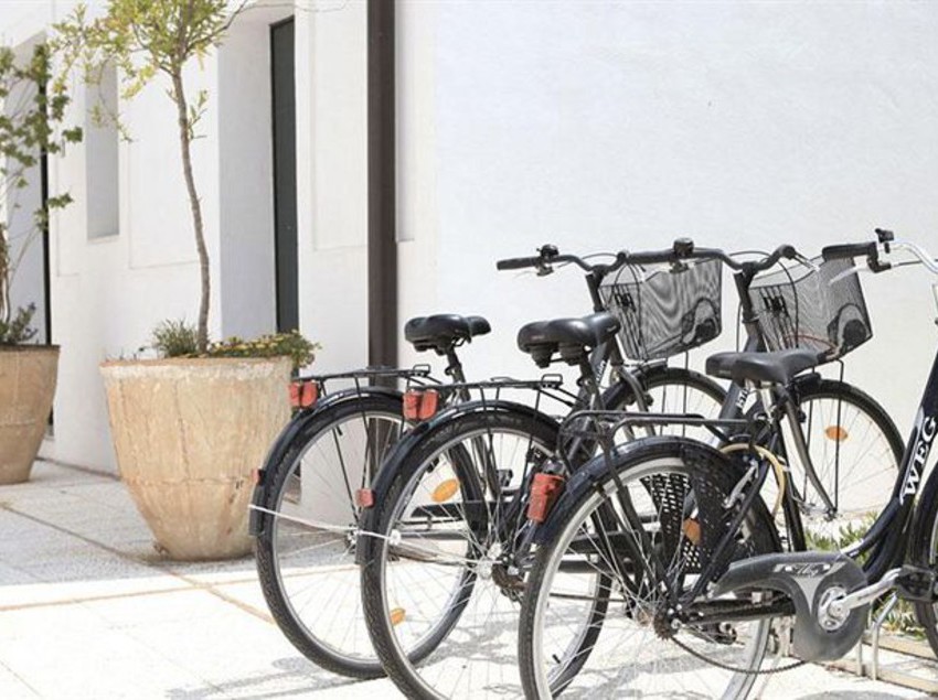 Bed and Breakfast Giardino Giamperduto  | Metaponto | Matera | Italia 5