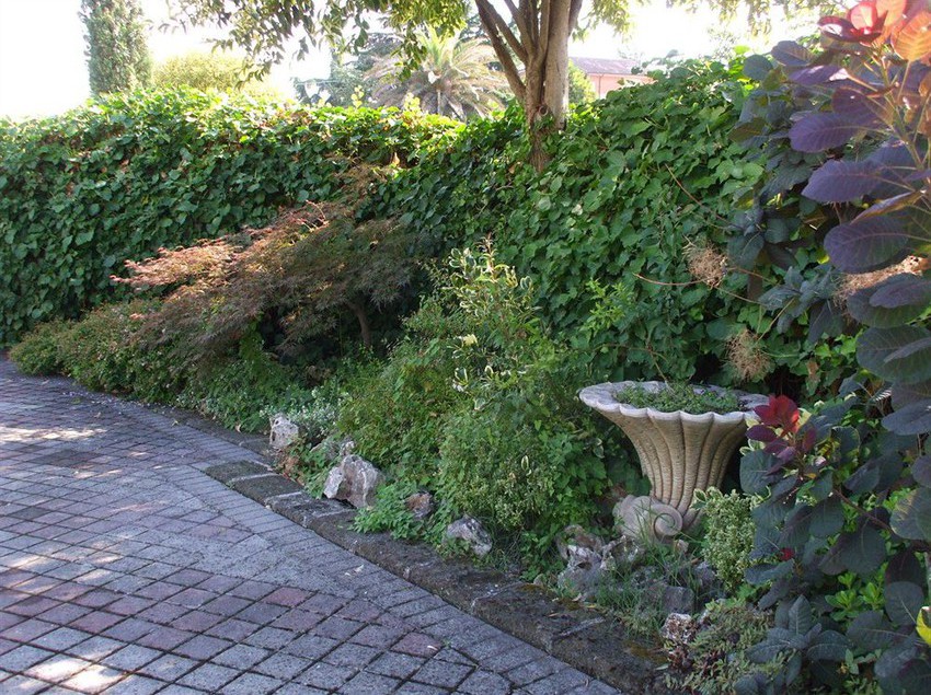 Hotel Sant' Elia  | Sant'Elia Fiumerapido | Frosinone | Italia 2