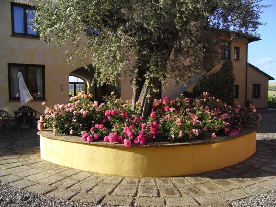 Residence La Venecca  | Orbetello | Grosseto | Italia 18