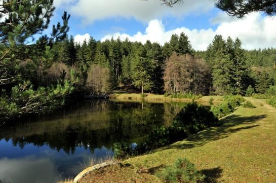 Il Casale Delle Arance  | Pizzo | Vibo Valentia | Italia 6