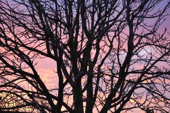 Bed and Breakfast Tinassara Lazise Verona