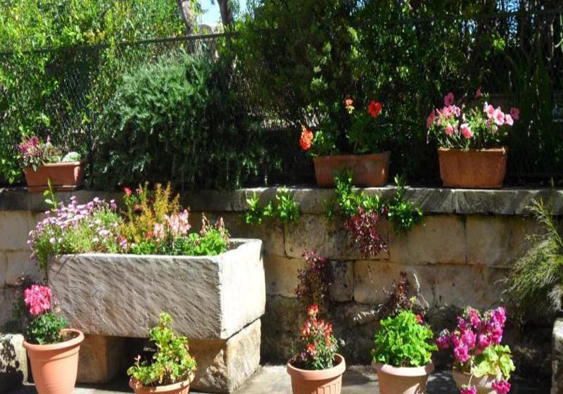 Hotel Masseria Gattamora  | Otranto | Lecce | Italia 1