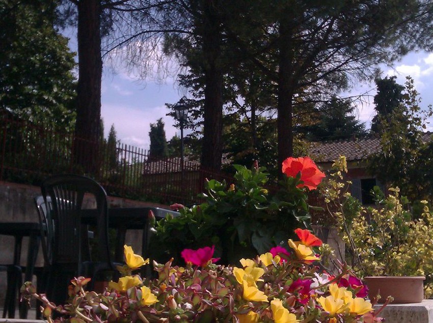 Hotel Hoteel Sienai Platani  | Monteriggioni | Siena | Italia 3