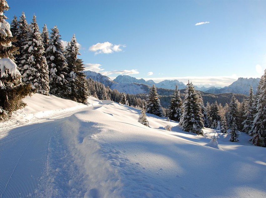 Hotel Cristallo  | Moena | Trento | Italia 12