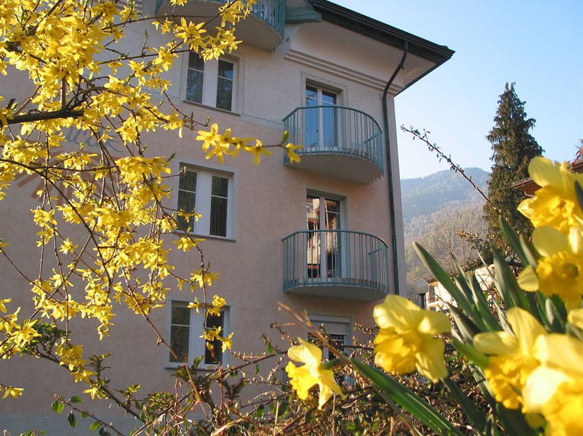 Hotel Aaritz Garni  | Levico Terme | Trento | Italia 1