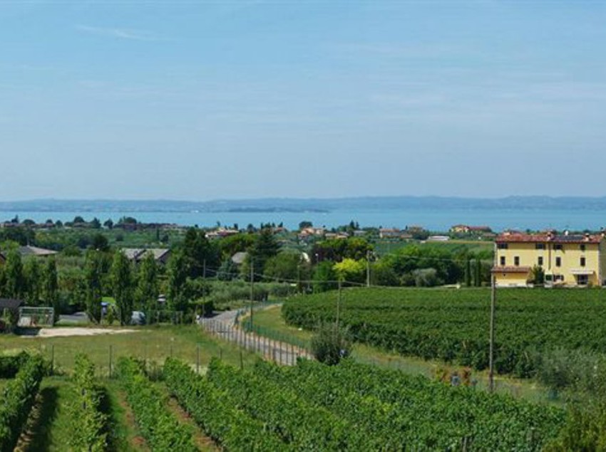 Hotel La Dolce Vita  | Cavaion Veronese | Verona | Italia 4