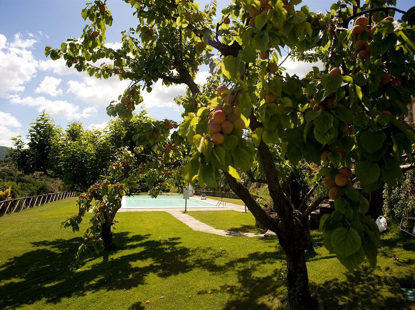 Agriturismo La Cianella  | Scarlino | Grosseto | Italy 6