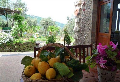 Hotel L'olivara  | Piano di Sorrento | Napoli | Italia 10